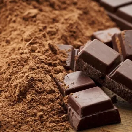 الشوكولاتة الداكنة تحارب الاكتئاب علميًّا