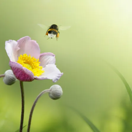 حقائق أغرب من الخيال تطور التكنولوجيا ساعد في كشفها