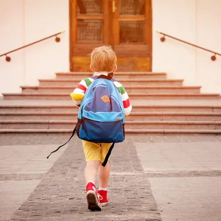 مواصفات الحقيبة المدرسية