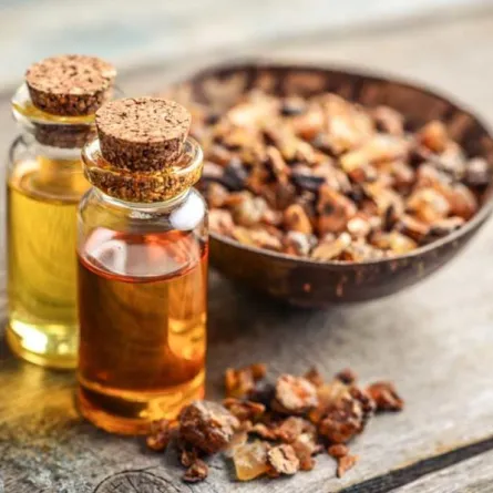 فوائد عشبة المر للجروح... أدخليها إلى صيدليتك