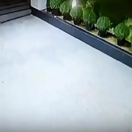 مشهد مرعب ..شبح يخرج من المستشفى على مقعد متحرك!