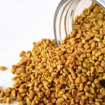 فوائد الحلبة في تحسين مستوى الكولسترول في الدم