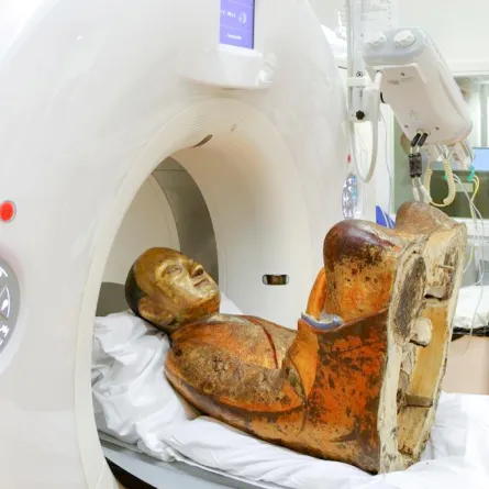 العثور على غرائب في تماثيل عمرها مئات السنين