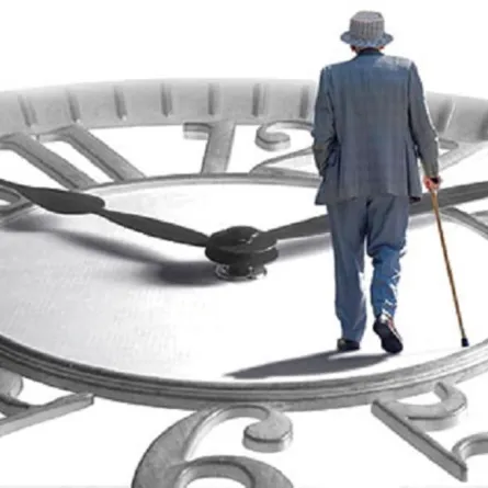 ارتفاع أعداد المتقاعدين إلى 877 ألفاً بنهاية عام 2018