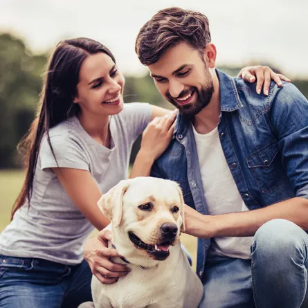 ظاهرة مخيفة.. أزواج يفضلون اقتناء الحيوانات على إنجاب الأطفال