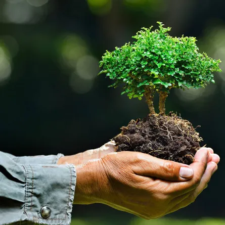 أيام عالمية 