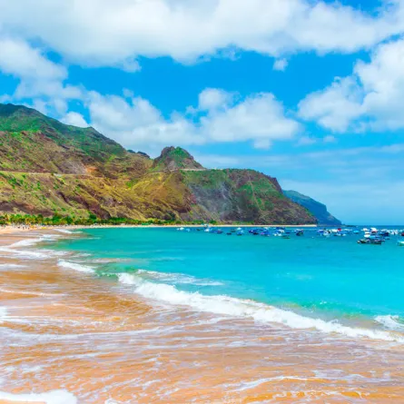 جزر الكناري في سياحة عام 2020