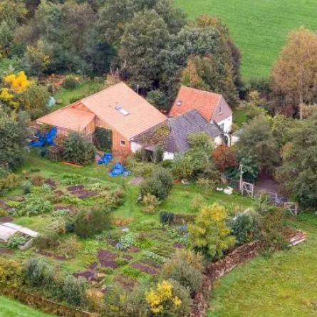 عائلة هولندية تعيش في قبو مزرعة معزولة انتظارًا لنهاية العالم