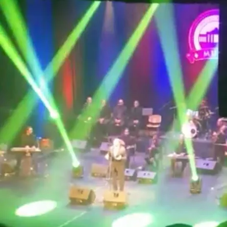 نجوم الفن في حفل علي الحجار..أبرزهم أحمد عبد العزيز وسوسن بدر ويوسف شعبان