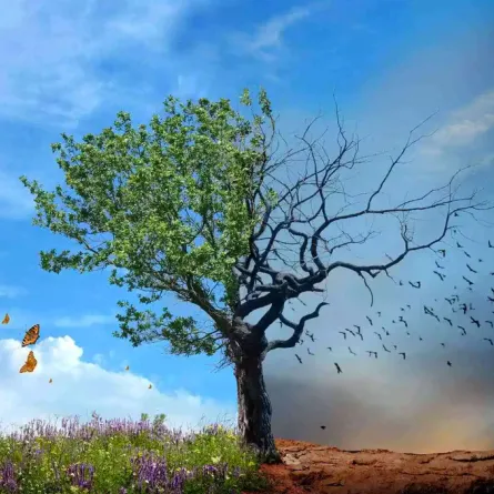 اليوم العالمي لمنع استخدام البيئة في الحروب.. كيف بدأ ولماذا؟