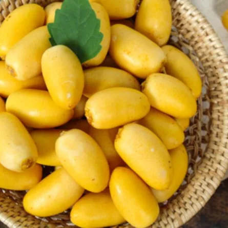 فوائد البلح للجسم لا تقدّر بثمن !  