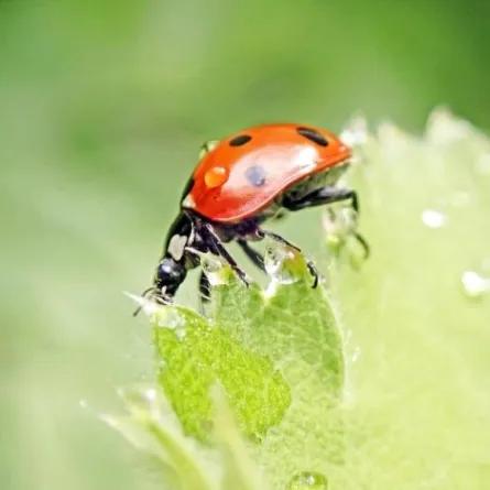 هوايته بتصوير الحياة البرية تنقذه من الموت