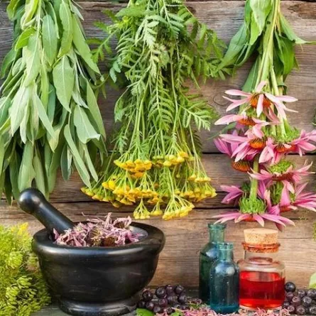 علاج الامساك بالنباتات السبع الأكثر فعالية  