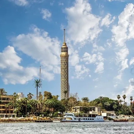 برج القاهرة..زهرة اللوتس المصرية