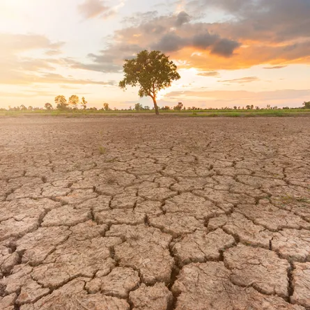 تداعيات الاحتباس الحراري على العالم في عام 2019