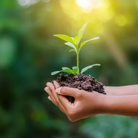 اليوم العالمي للتربة هذا العام: «أوقفوا انجراف التربة، أنقذوا مستقبلنا»