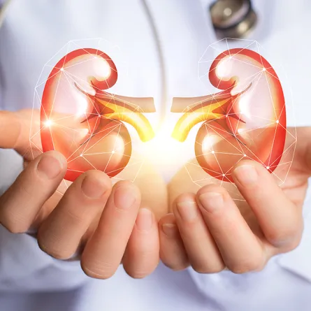 أسباب حصى الكلى... تجنّبيها فورًا  