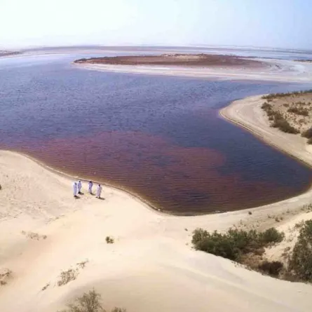 بحيرات السعودية-الصورة من موقع واس