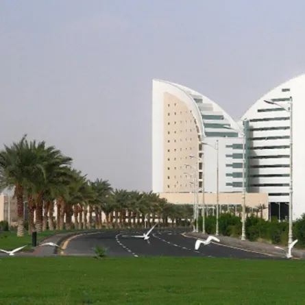 جامعة نجران