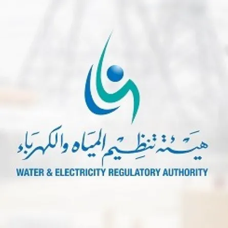 هيئة تنظيم الكهرباء