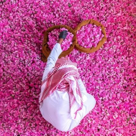 في صيف السعودية رحلات سياحية لمزارع إنتاج الورد