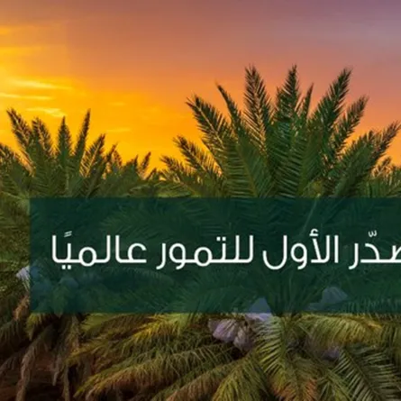 المملكة تسجل أعلى ارتفاع لصادرات التمور