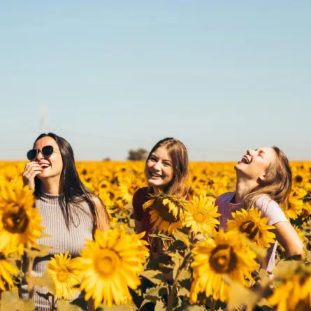 أسرار الصداقة