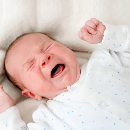 ضجيج الأطفال 