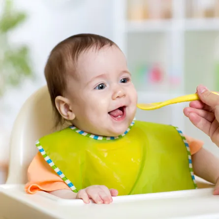 يمكن أن تقدمي له وجبات مغذية في الخلاط