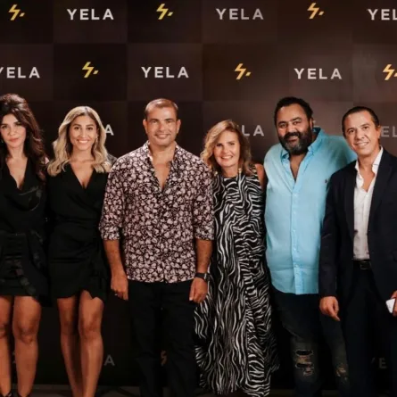 عمرو دياب ودينا الشربيني