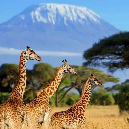 السياحة في تنزانيا