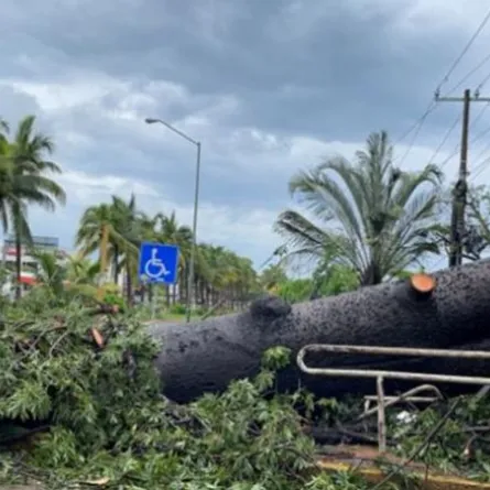 إعصار نورا يضرب ساحل المكسيك مصحوبًا بأمطار غزيرة ورياح عاتية