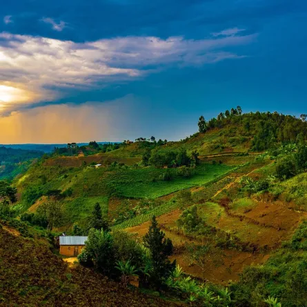 السياحة في رواندا 