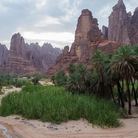 وادي ديسة.. وجهة سياحية جاذبة للسياح في تبوك 