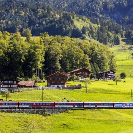 4 قطارات سياحية تمر بمواقع طبيعية خلابة 