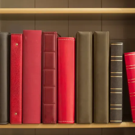 أنواع الروايات 