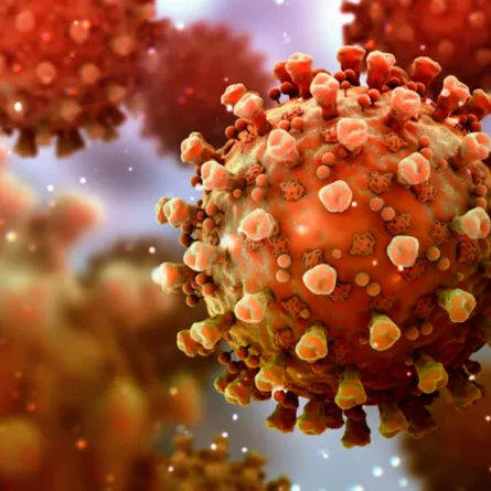 دراسة: غالبية المصابين بمتحور دلتا ينقلون الفيروس قبل يومين من ظهور الأعراض