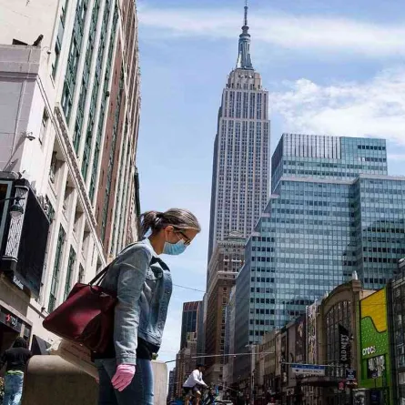 الدبابير الآسيوية القاتلة تغزو الولايات المتحدة مجددا