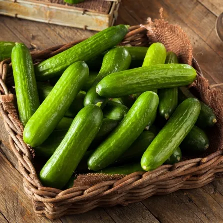 فائدة الخيار للحامل وأضراره