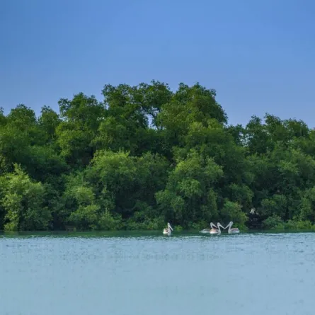 جزر فرسان (الصورة من وزارة الثقافة)
