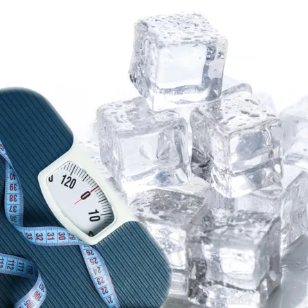 حمية الثلج سهلة وسريعة المفعول في إنقاص الوزن