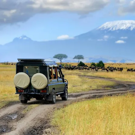 اكتشفوا 4 أماكن سياحية جذابة في كينيا