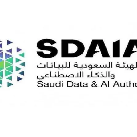 نظام حماية البيانات الشخصية يسهم في تسريع مسيرة التحول الرقمي 