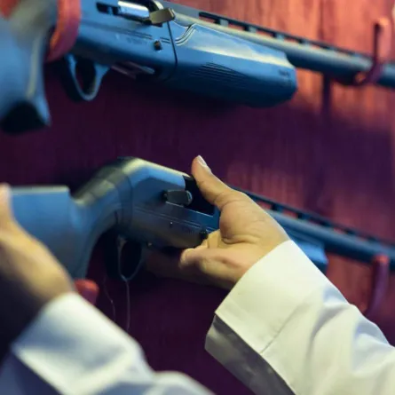 بعض الأسلحة المعروضة