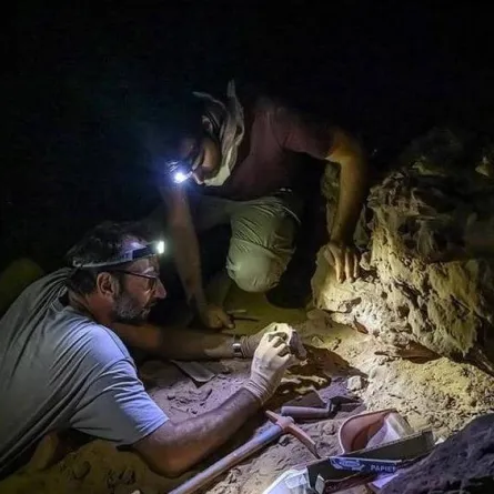 علماء من السعودية وفرنسا يكتشفون آثار