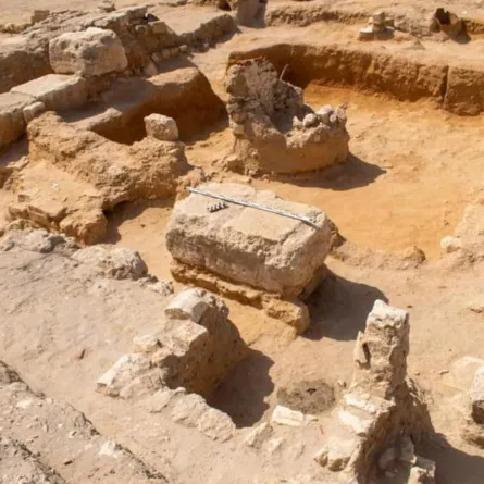 الضاحية- من فيسبوك وزارة السياحة والآثار المصرية