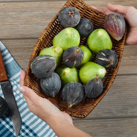 فوائد التين للحامل