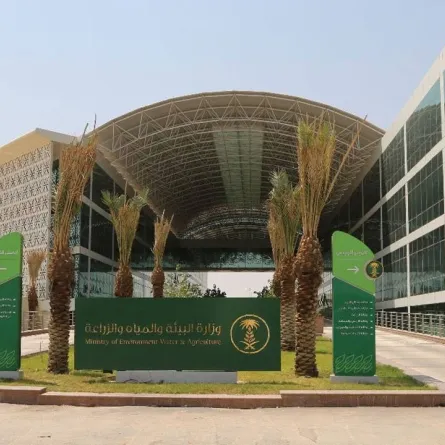 برنامج ريف الفئات المستهدفة وشروط الترشح للبرنامج