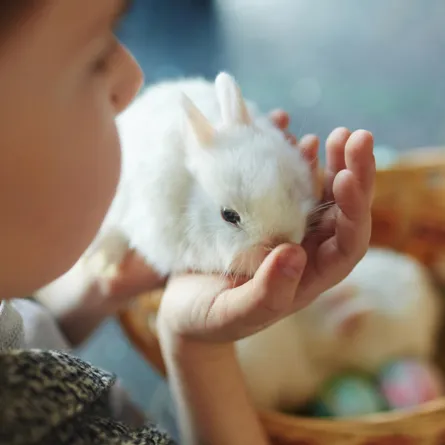 الحيوانات الأليفة لمساعدة الأطفال المصابين بالتوحد