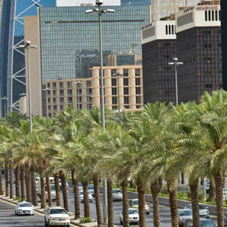 السعودية ضمن المجموعة الأولى لأعلى الدول الرائدة والمبتكرة في مجالَيْ تقديم الخدمات الحكومية